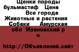 Щенки породы бульмастиф › Цена ­ 25 000 - Все города Животные и растения » Собаки   . Амурская обл.,Ивановский р-н